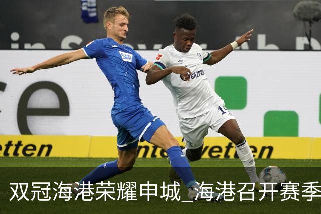 双冠海港荣耀申城 海港召开赛季总结会